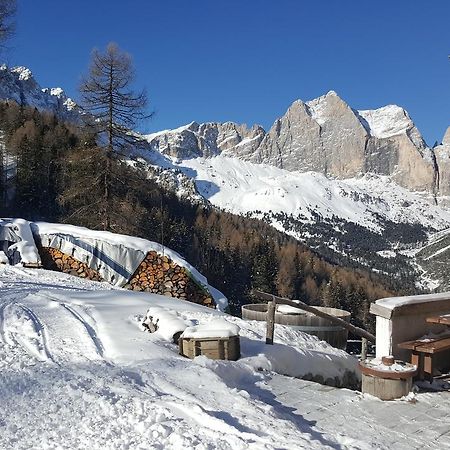 Rifugio Negritella Hotel ปอซซาดิฟัซซา ภายนอก รูปภาพ