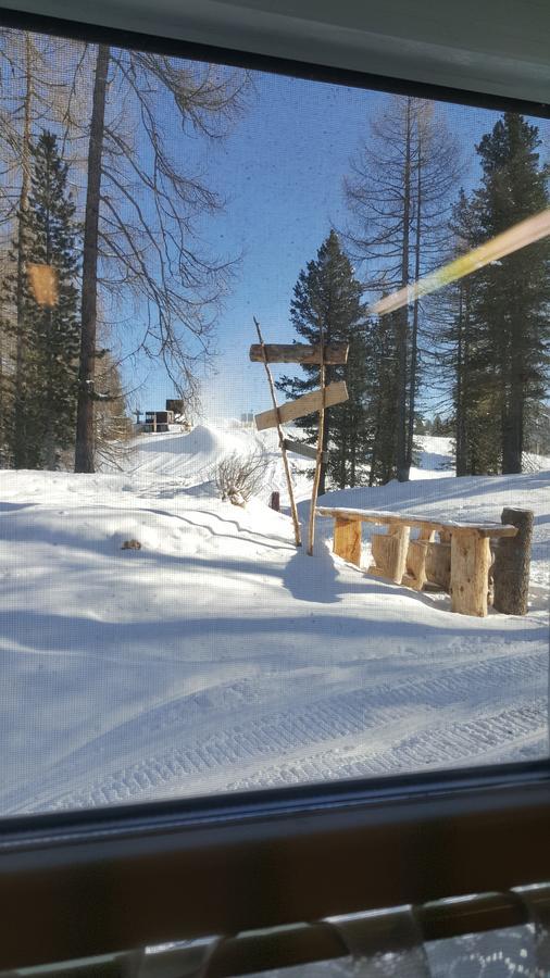 Rifugio Negritella Hotel ปอซซาดิฟัซซา ภายนอก รูปภาพ