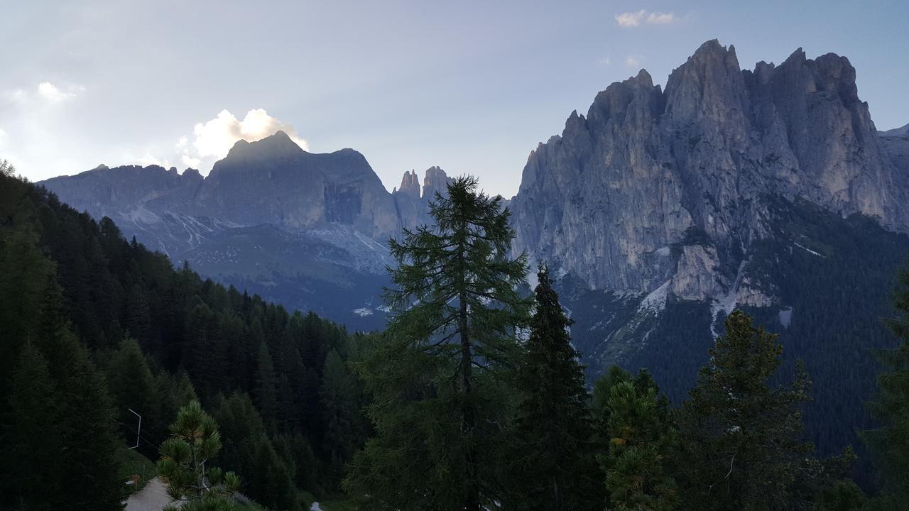 Rifugio Negritella Hotel ปอซซาดิฟัซซา ภายนอก รูปภาพ
